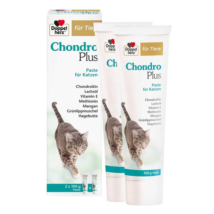 Doppelherz für Tiere Chondro Plus Paste für Katzen, 2X100 g
