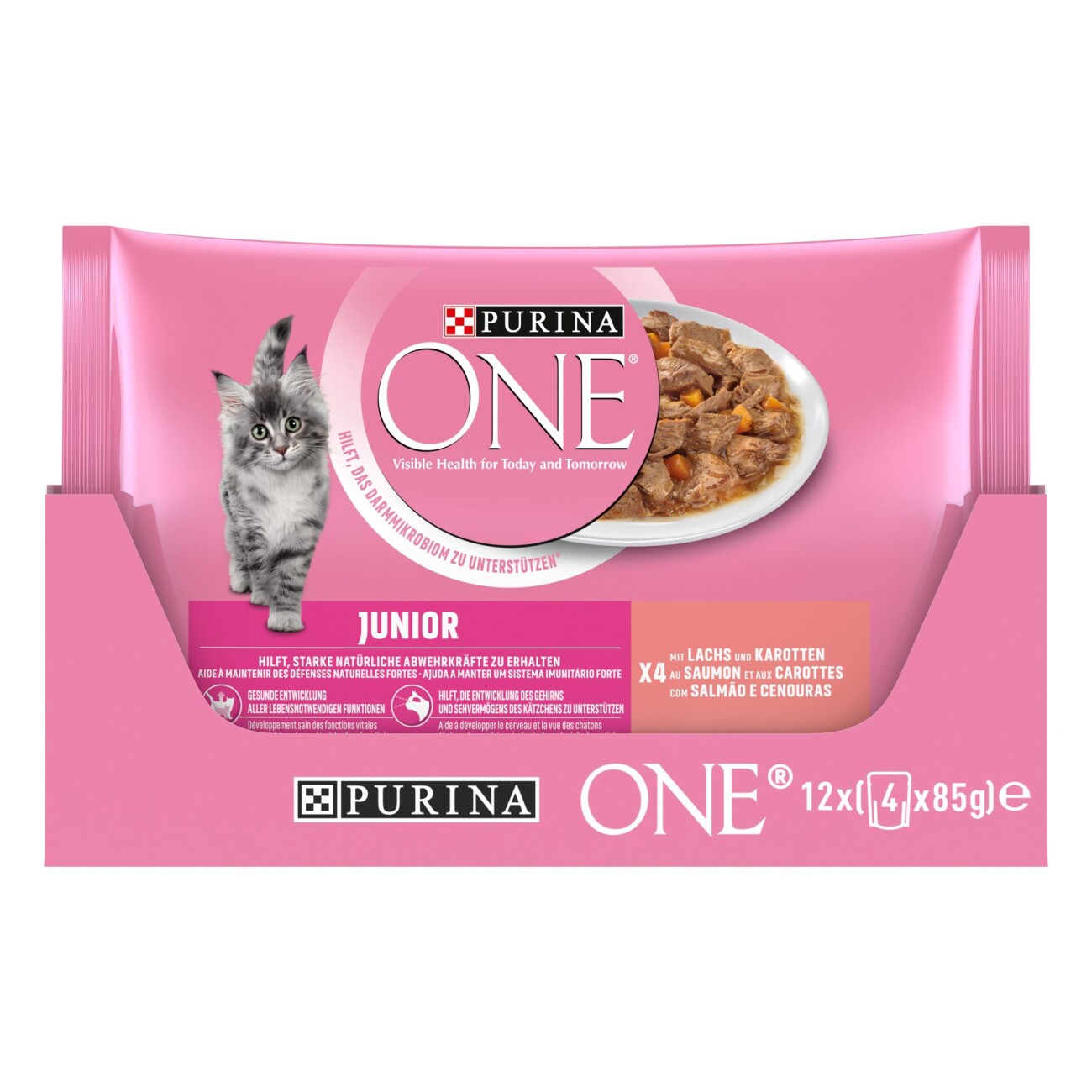 Purina ONE Junior Kittenfutter nass zarte Stückchen in Sauce Lachs 12x4x85 g