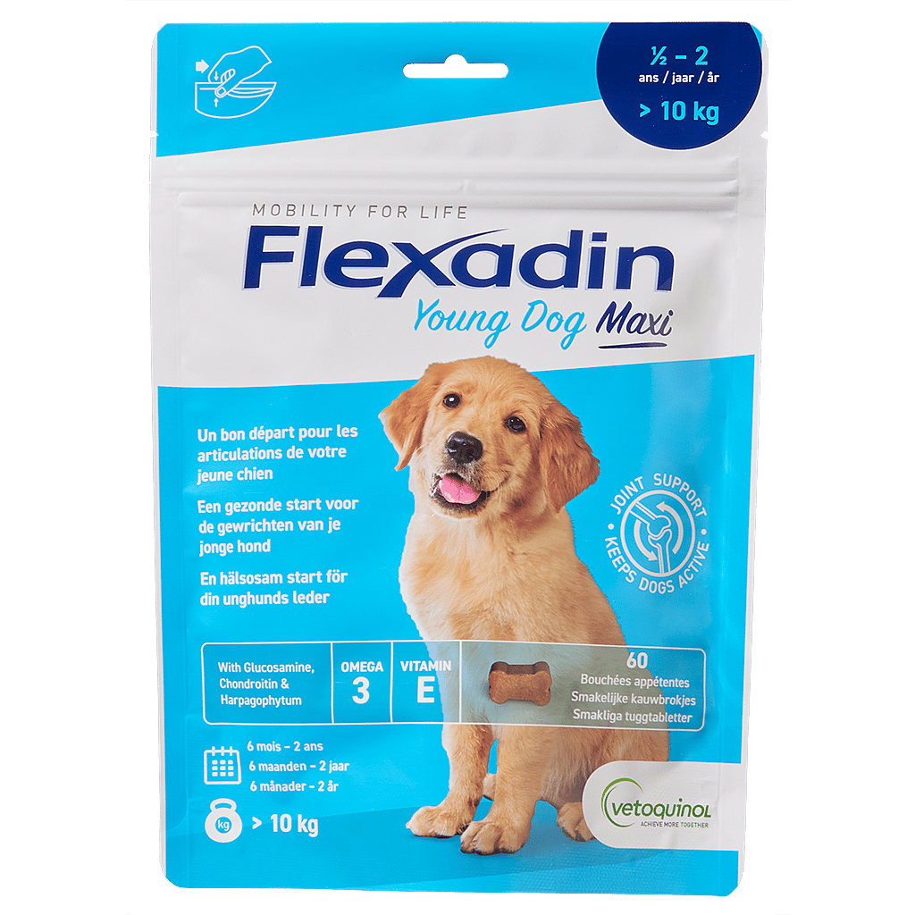 Flexadin Young Dog | Maxi - 60 Kauwbrokjes | 12728.1