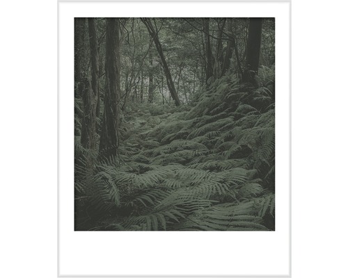 Premium muurverf Stijl Kleur SELECTIE 40 conserveermiddelvrij Jungle Stillness 2,5 L