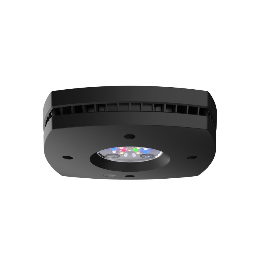 AI PRIME FRESHWATER 55 w (Preto)