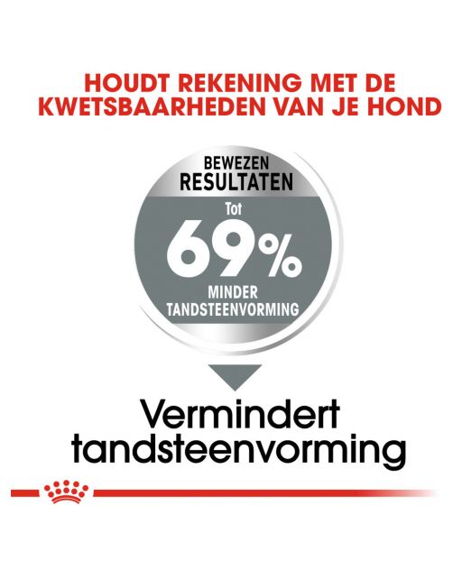 Royal Canin Dental Care Mini - Hondenvoer