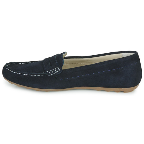 Casual Attitude - ISAWA - Marine