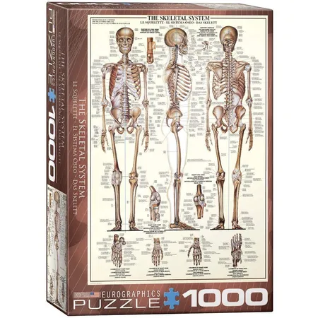Eurographics Das Skelett, 1000 Teile