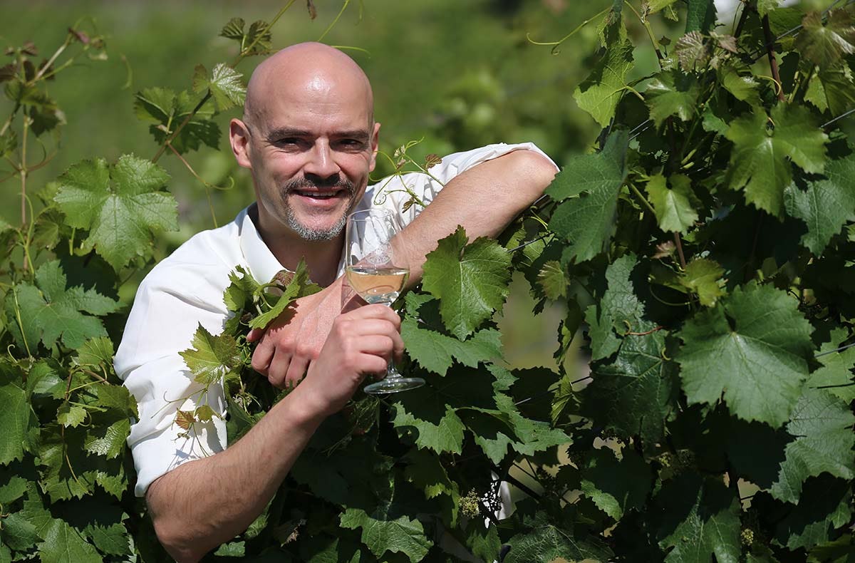 Weinbergwanderung Lorch - Genuss verschenken