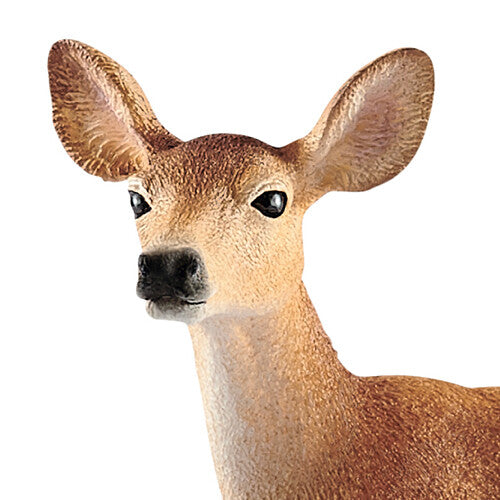 Schleich wild life witstaarthertenkoe - 8,5 cm