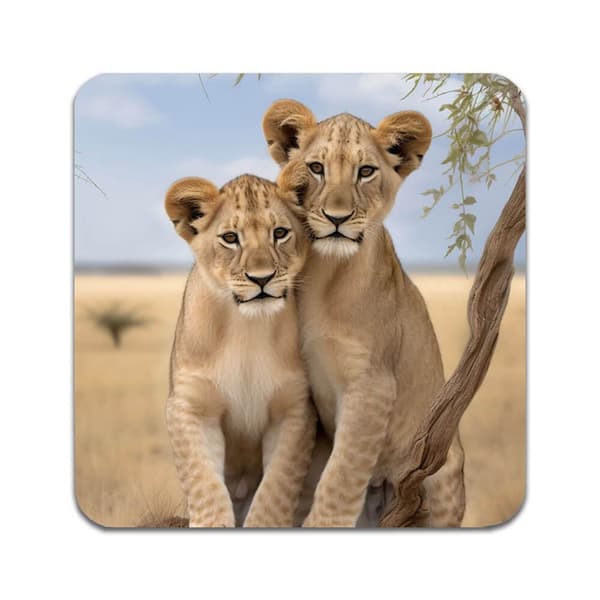 4 ST Dyr Løve Coaster