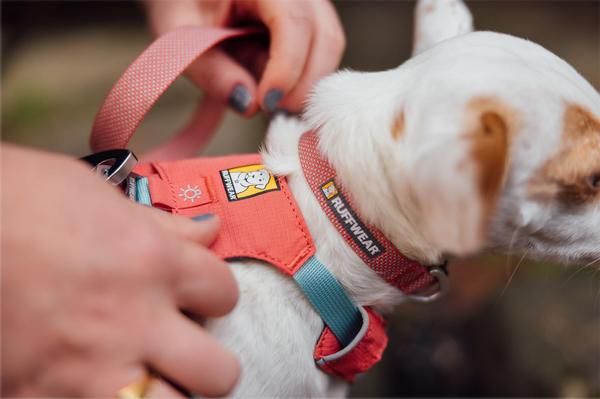 RUFFWEAR® Hundehalsband Hi & Light™ Collar