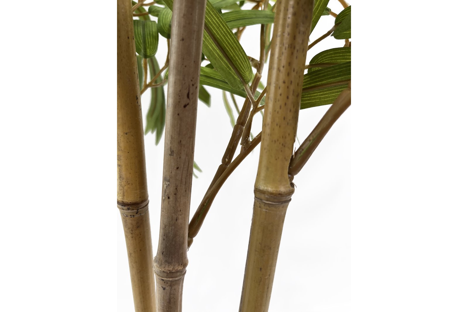 Bambus potteplante Grønn H120 cm