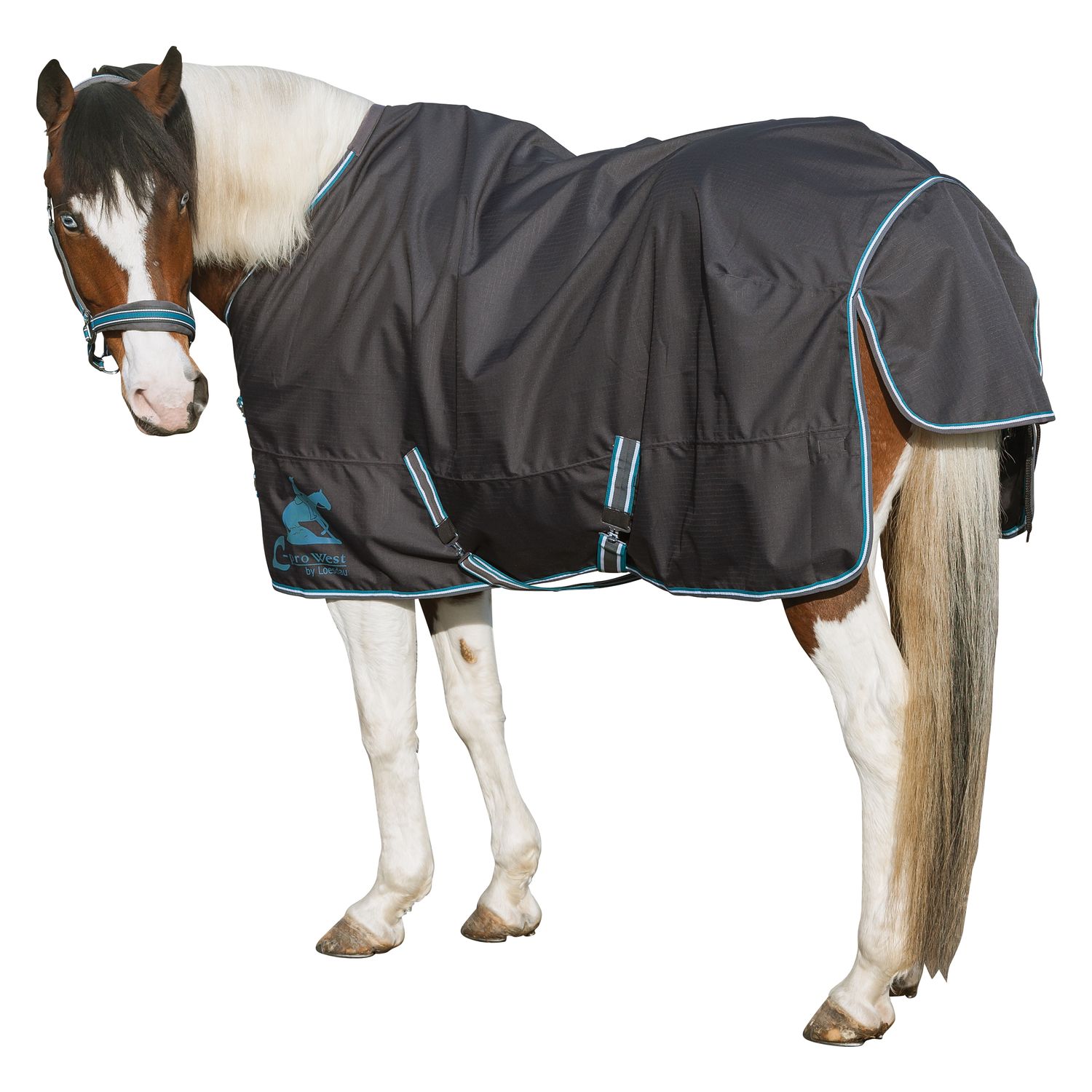 L-pro West Paddock- und Outdoordecke Light - stone