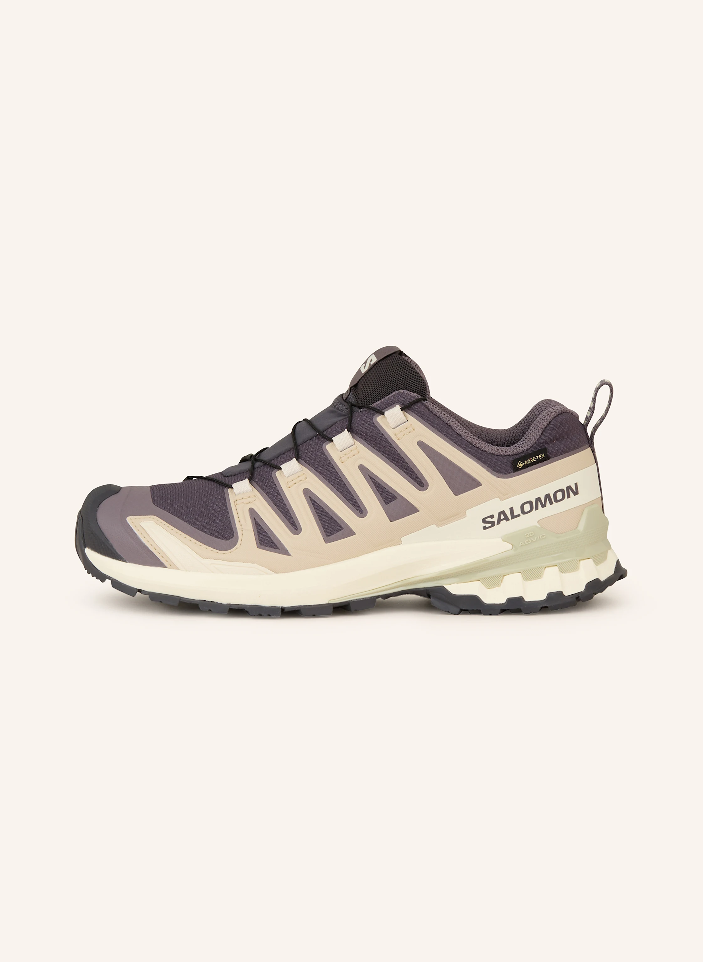 SALOMON Wanderschuhe XA PRO 3D V9 GTX