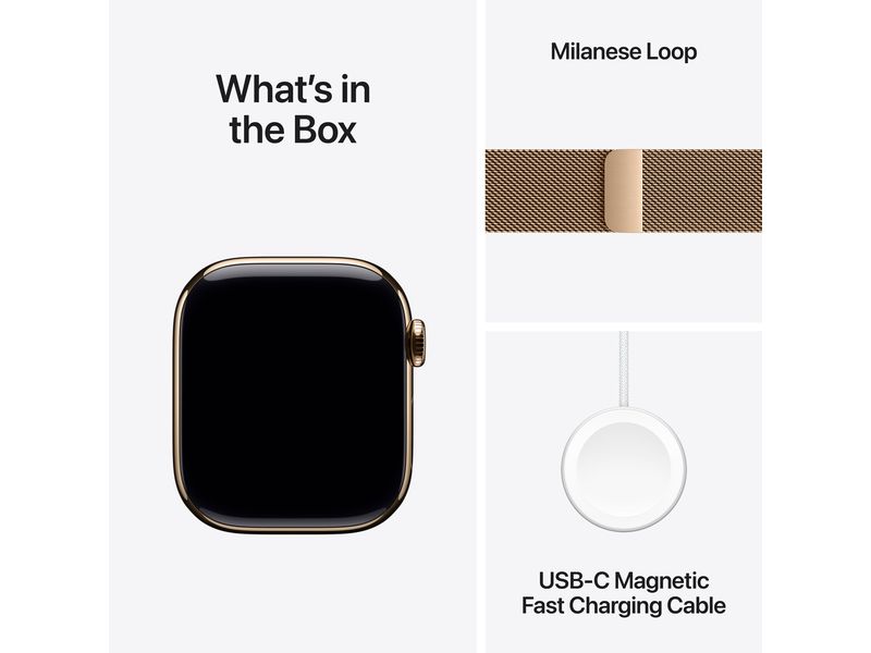 Apple Watch Series 10 42 mm LTE Titanium Gold Loop Eine glatte Zehn