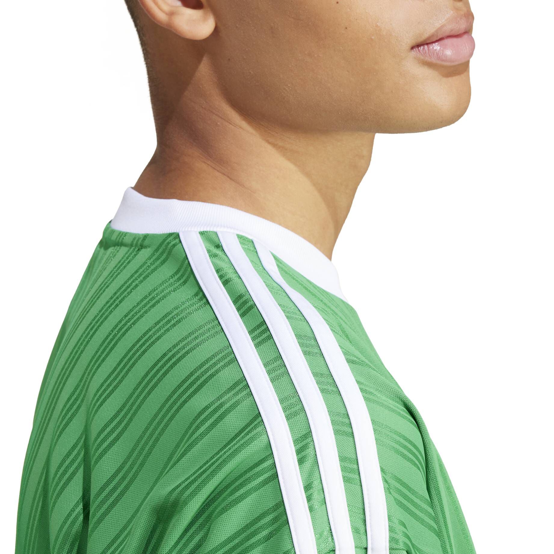 adidas Originals| Herren T-Shirt ADICOLOR