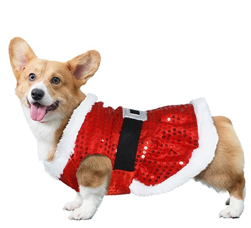 Fantasia de Papai Noel com lantejoulas para cães