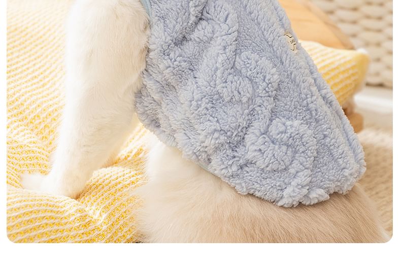 Cissilli - Applicatie Pet Top