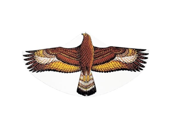 Günther Flugspiele En line Drage Steinadler Spændvidde 1220 mm Vind Strength Fitness 3 - 6 bft