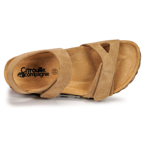 Citrouille et Compagnie - BELLI JOE - Beige