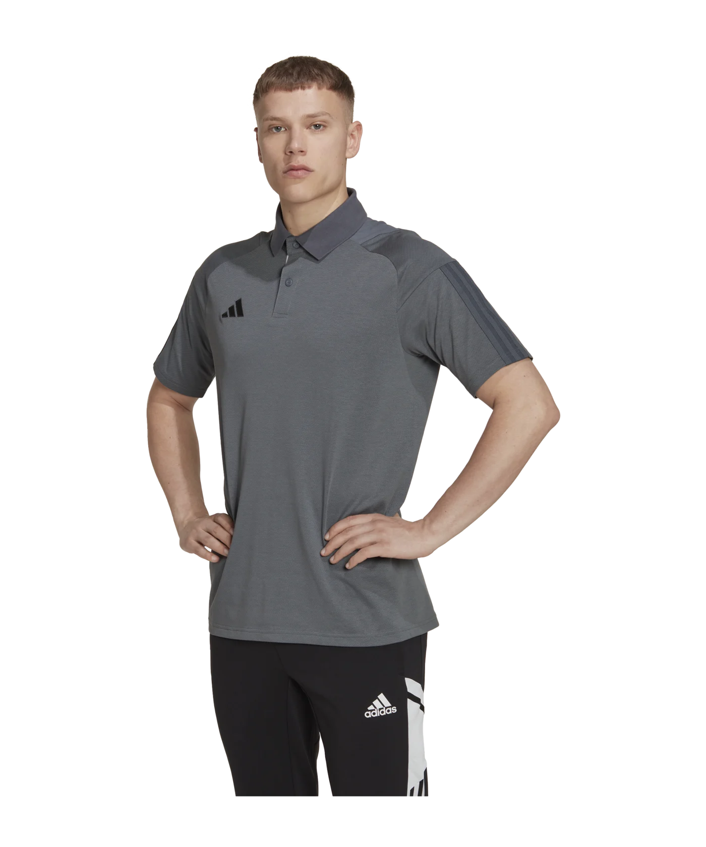 adidas Tiro 23 Competition Poloshirt Grau