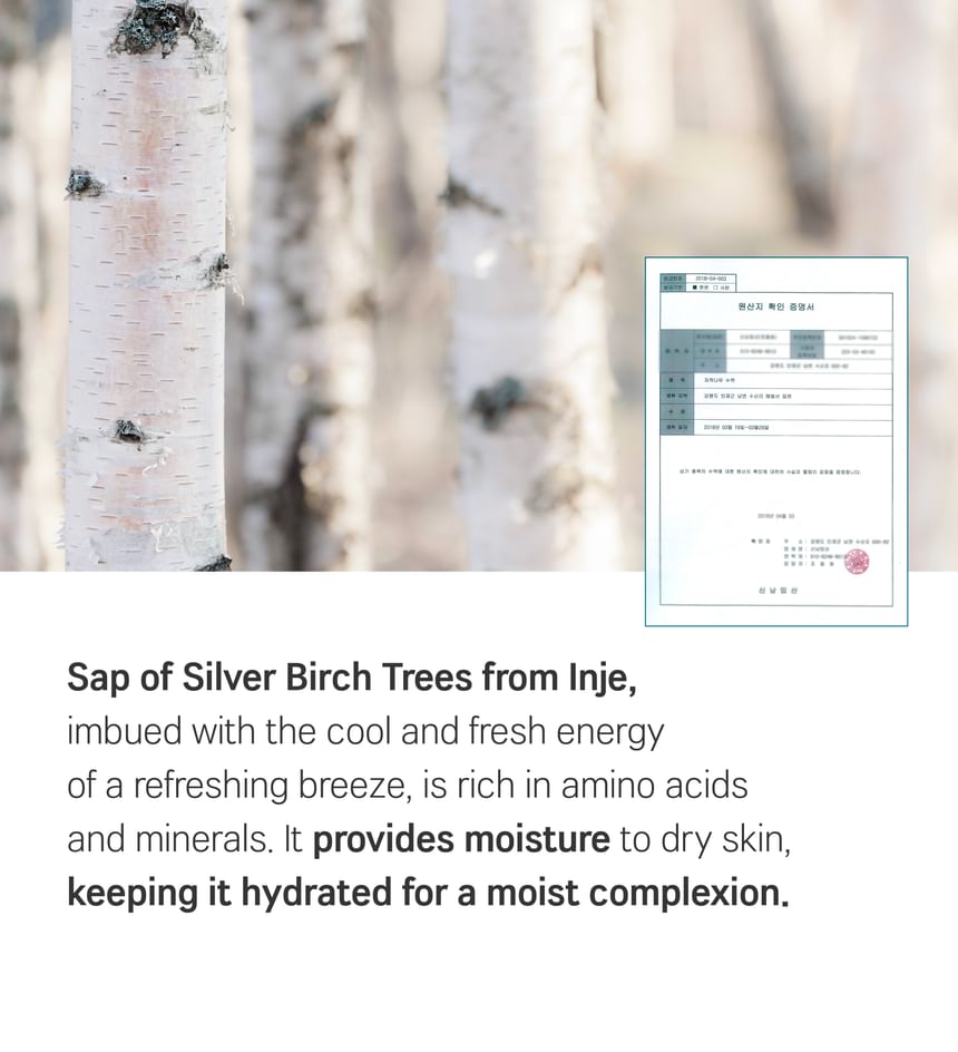 ROUND LAB - Birch Juice Handcrème