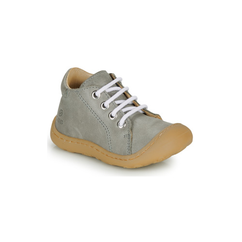 GBB - FREDDO - Gris