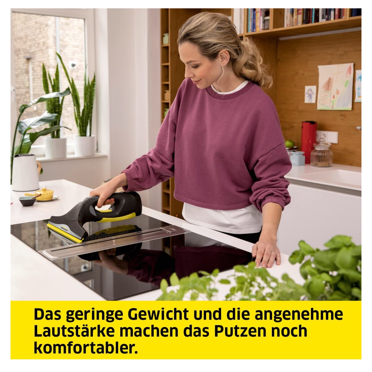 Kärcher WV 2 Premium 10 Jahre Edition 1.633-426.0 Fenstersauger