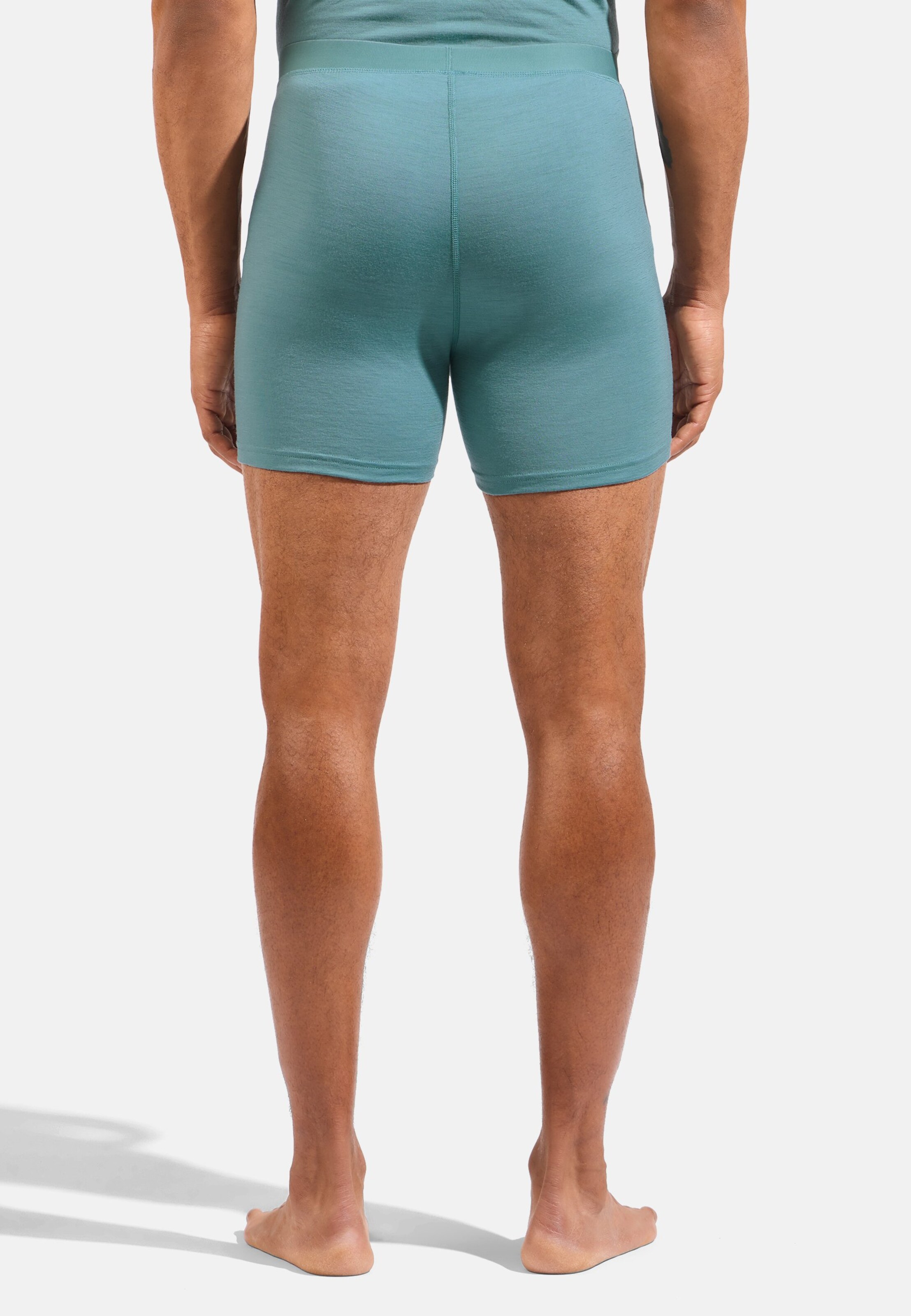 Natural Merino 160 Boxer in arctic