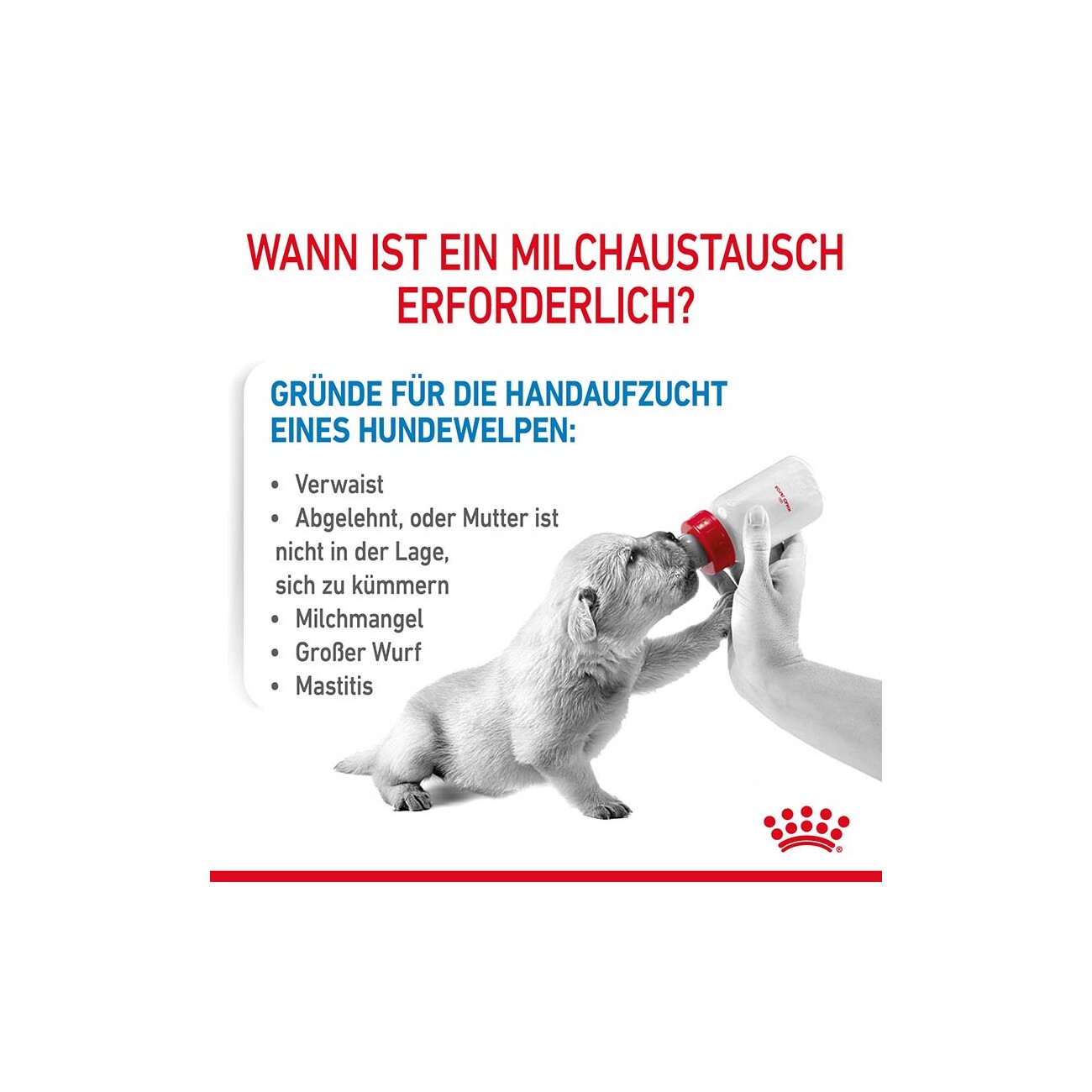 ROYAL CANIN Babydog Milk Michpluver 400 g