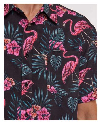 Chemise Technique Dharco Party Parker Flamands Roses