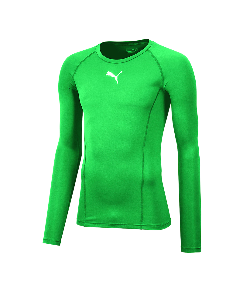 PUMA LIGA Baselayer Warm Longsleeve Kids F05