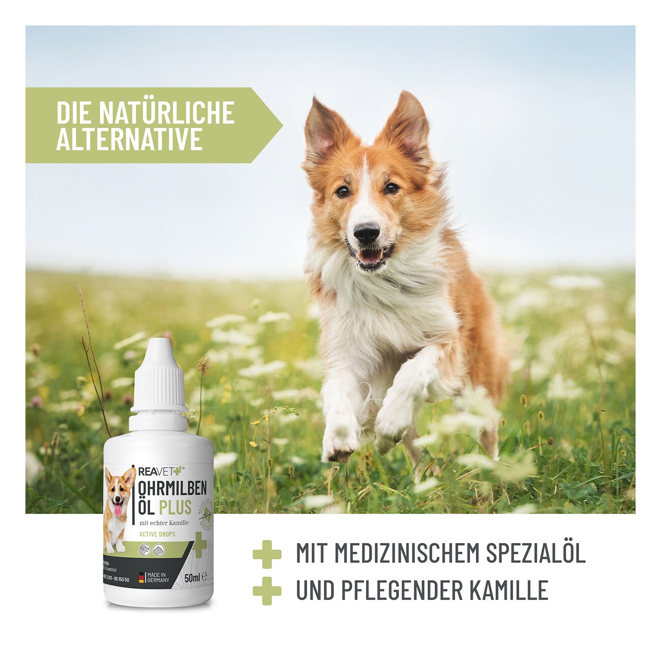 REAVET Ohrmilbenöl Plus 50ml