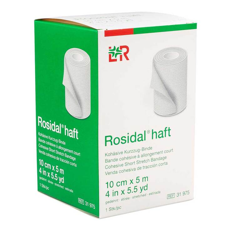 Rosidal haft Kompressionsbinde 10 cmx5 m, 1 St