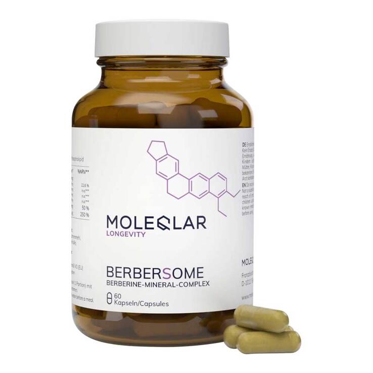 Moleqlar Berberine Mineral-Complex Kapseln, 60 St
