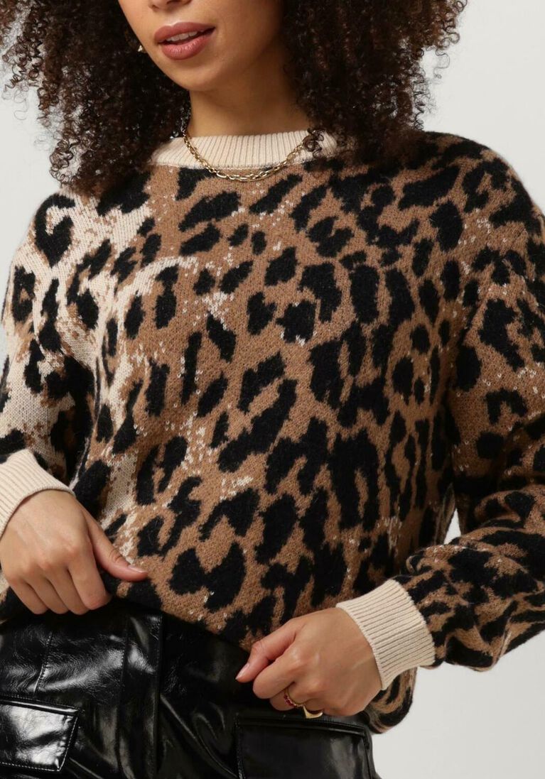 CATWALK JUNKIE bruine catwalk junkie sweater kn dover
