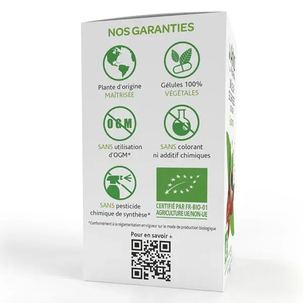 Arkopharma Arkogélules Guarana Bio 130 gélules