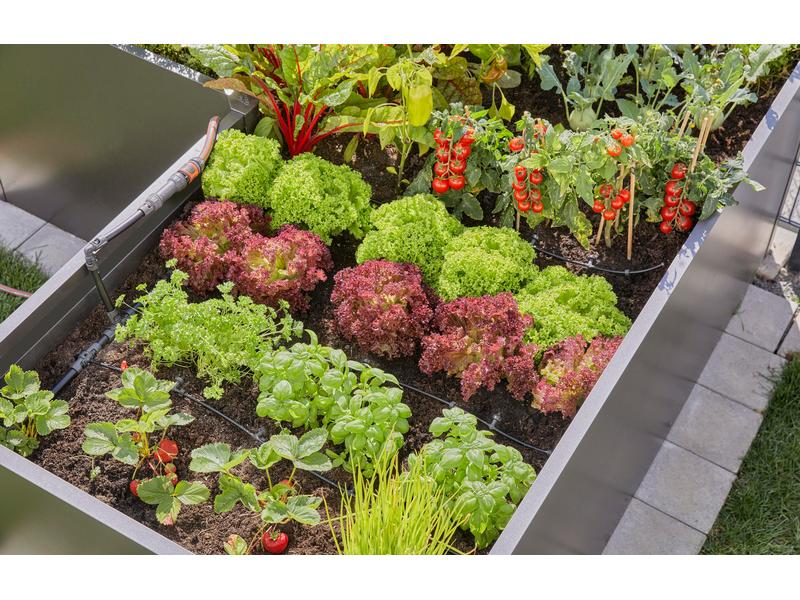 GARDENA Start-Set Tropfbewässerung für Hochbeete Micro-Drip Für eine zuverlässige Tropfbewässerung von bis zu 35 Pflanzen in Beeten und Hochbeeten