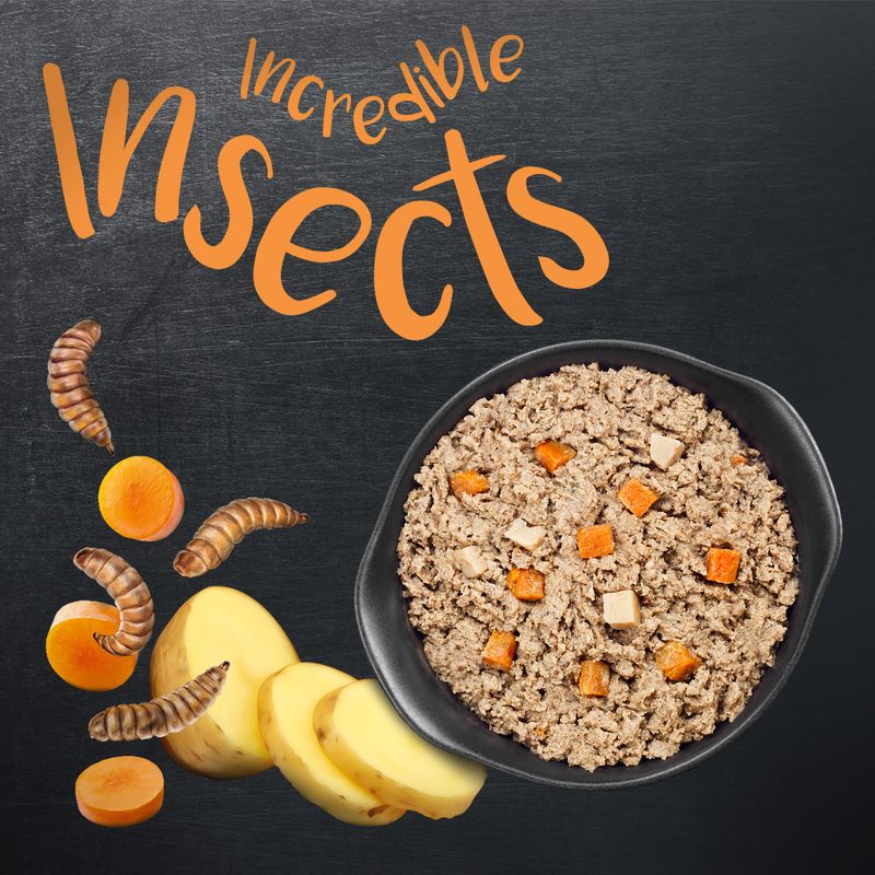 Greenwoods Insects, pommes de terre, carottes