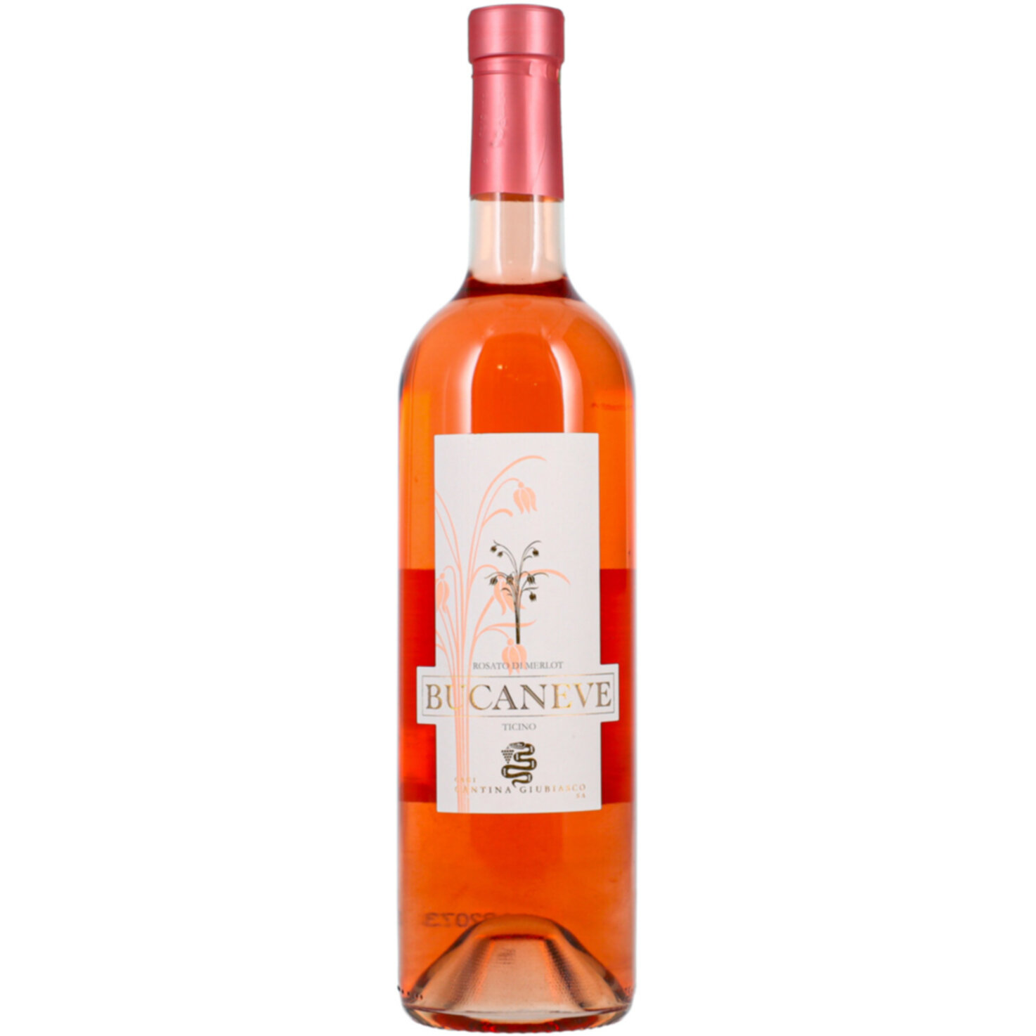 Ticino DOC Merlot Rosato Bucaneve -75cl