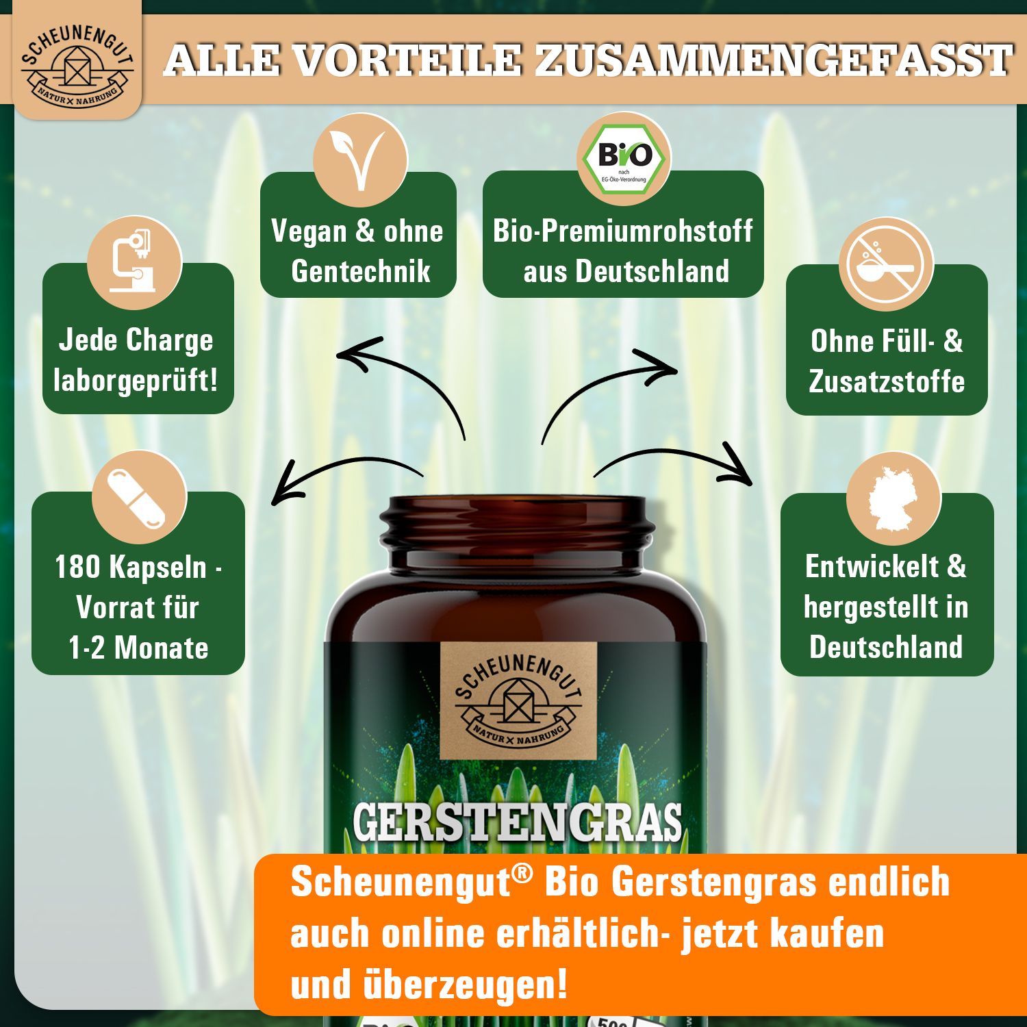 Scheunengut® Bio Gerstengras Kapseln | Das Original aus Deutschland