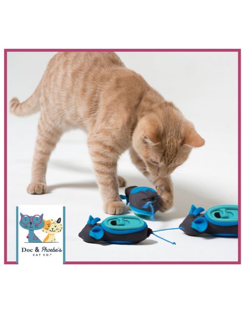 Doc & Phoebe's Indoor Hunting Cat Feeder - Kattenvoerbak - 20 x 23 x 5.3 cm Grijs Blauw