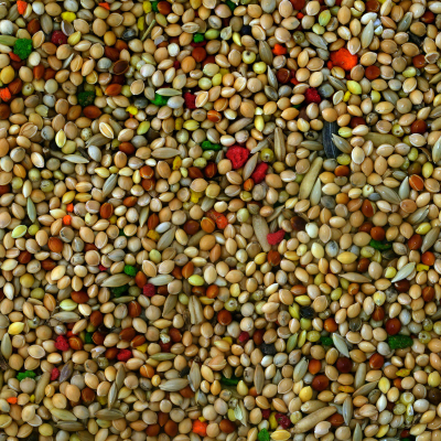 schweizer Qualitätsmischung Wellensittiche 1kg