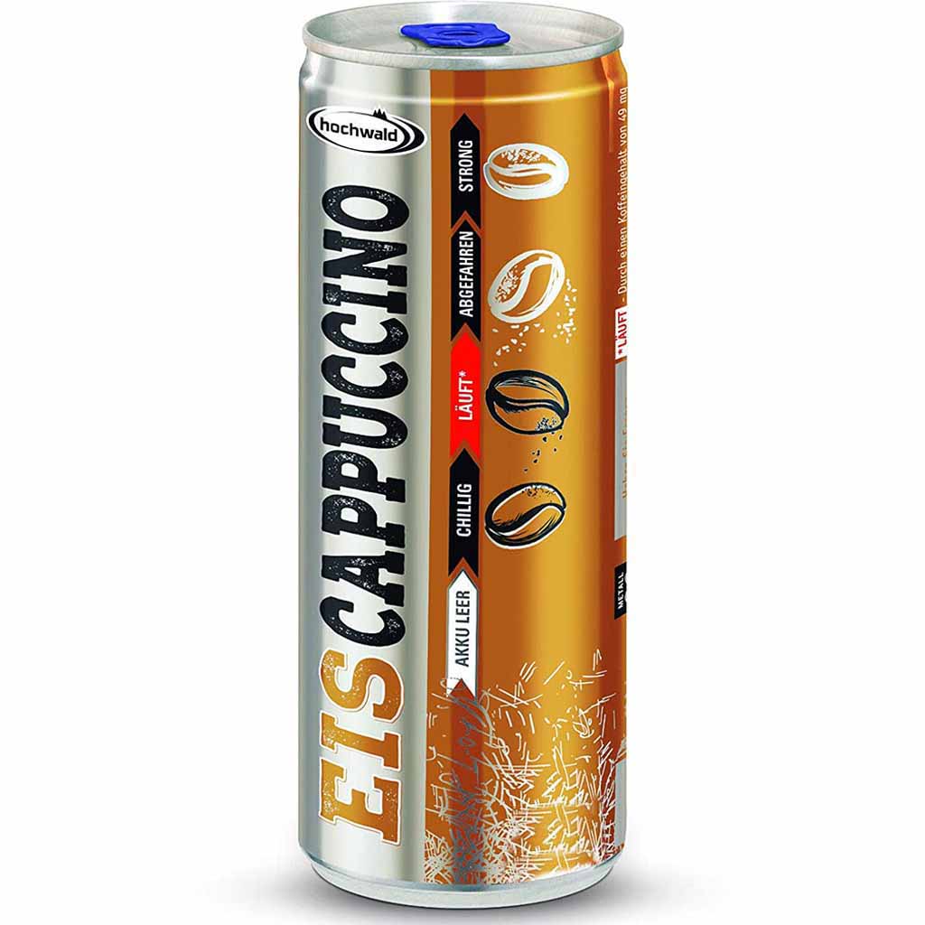 24x Hochwald Eiscappuccino Dose á 250ml=6L MHD:30.6.25