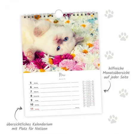 Trötsch Wochenkalender 