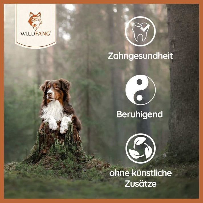 WILDFANG® Olivenholz-Kaustab