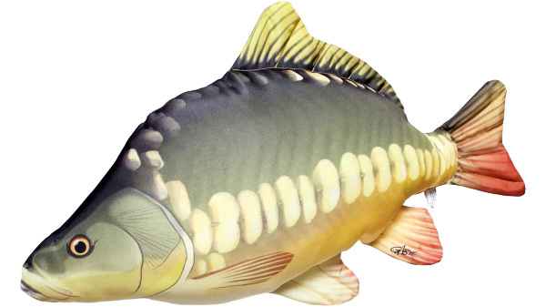 Gaby The Carp