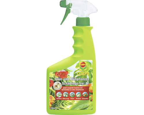 Groene en bloeiende planten ongediertevrij COMPO 750 ml Gebruiksklare pompspray