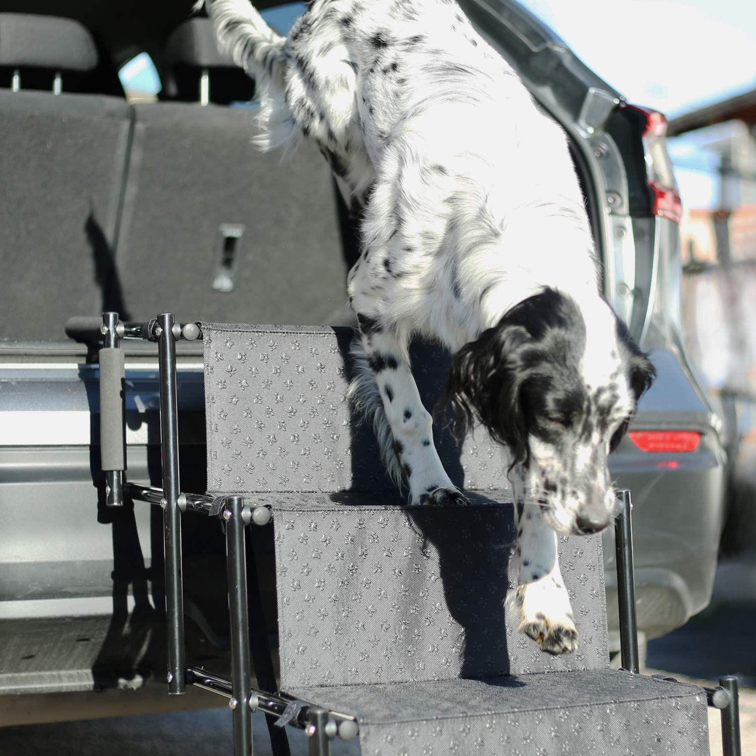 Faltbare Hundetreppe Auto Einstieghilfe Tragbare Hunde Rampe mit 4 Stufen - Schwarz