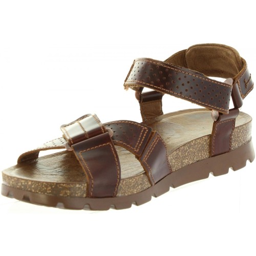 Panama Jack - SAMBO EXPLORER C4 Marr