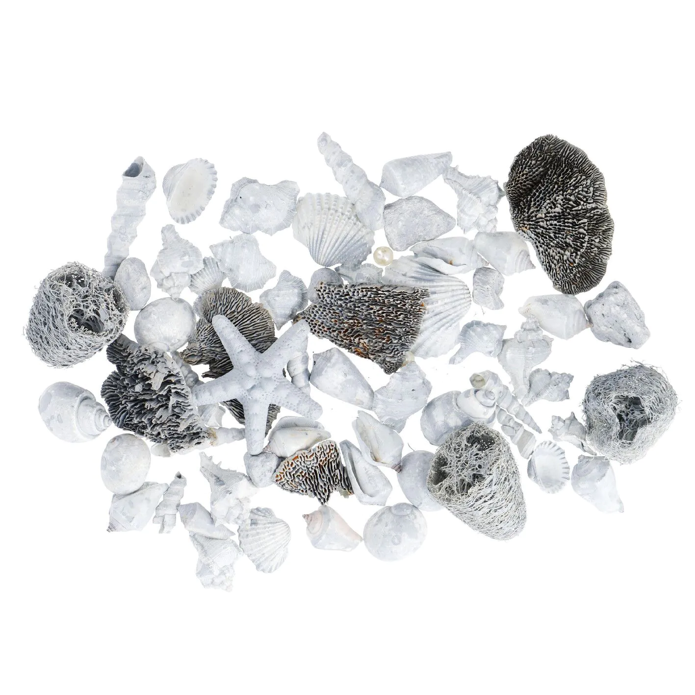 Potpourri Seestern/Muscheln, hellblau