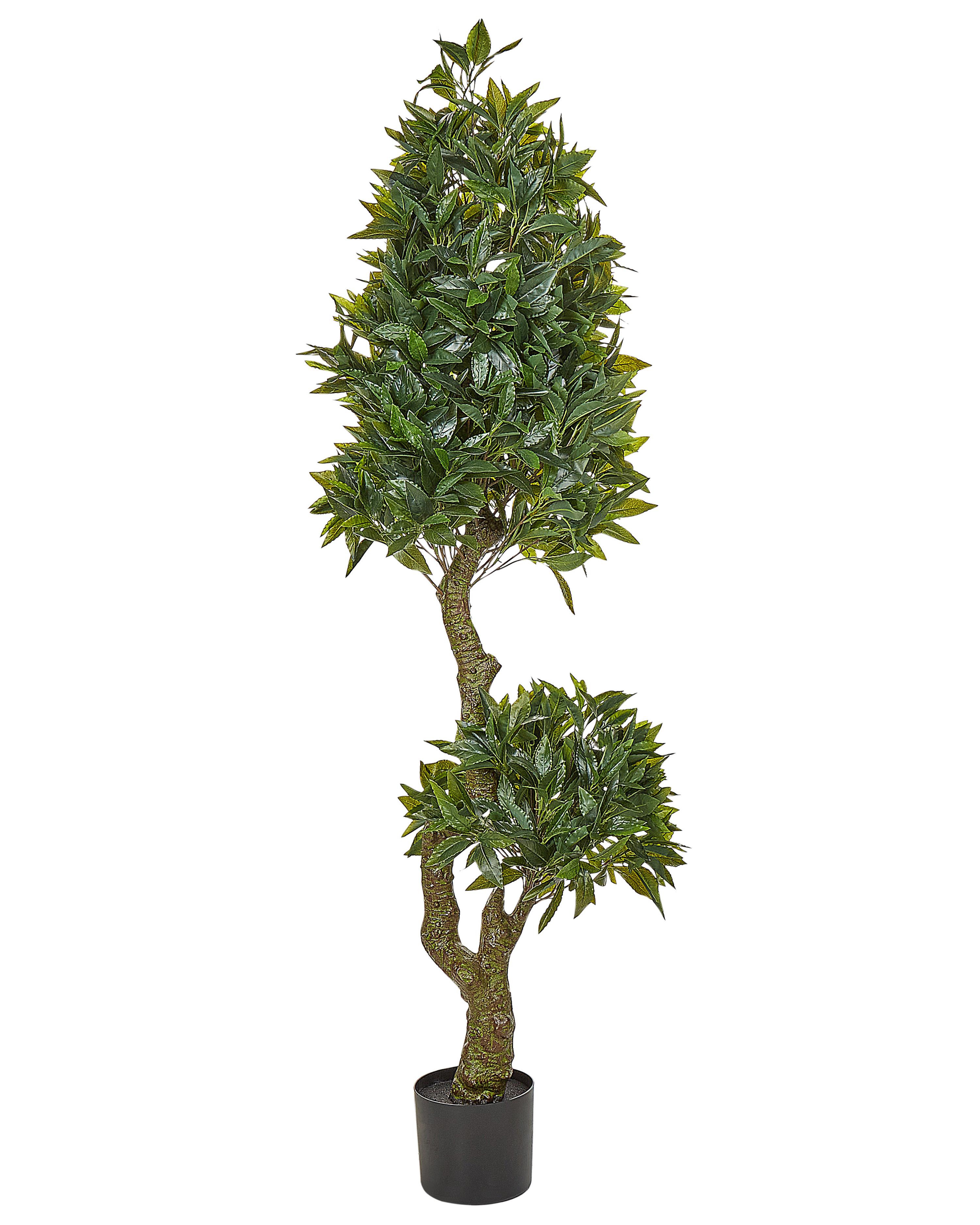 Kunstplant LAURELE 160 cm Groen