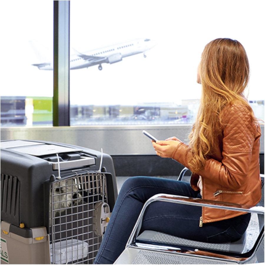 Transportadora para cães Stefanplast Gulliver 7 IATA